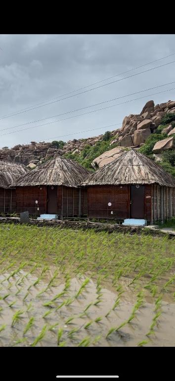 New HampiThe Gravity Cafe -A Unit Of StayChillHampi的一座有稻草屋顶和一片草地的建筑