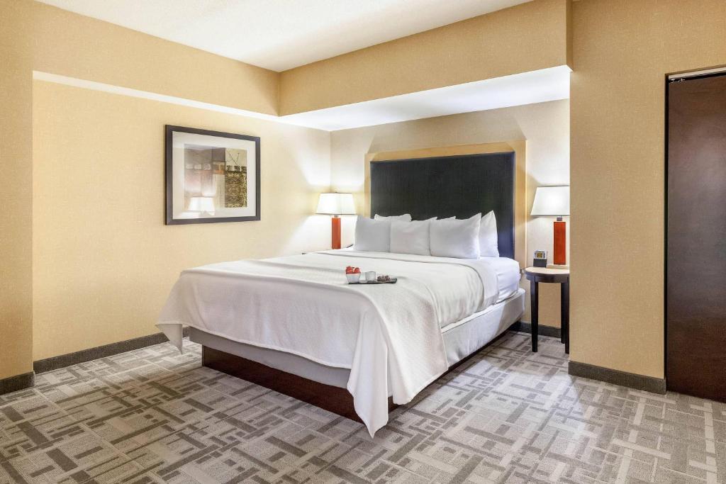 Cambria Hotel Pittsburgh - Downtown photo