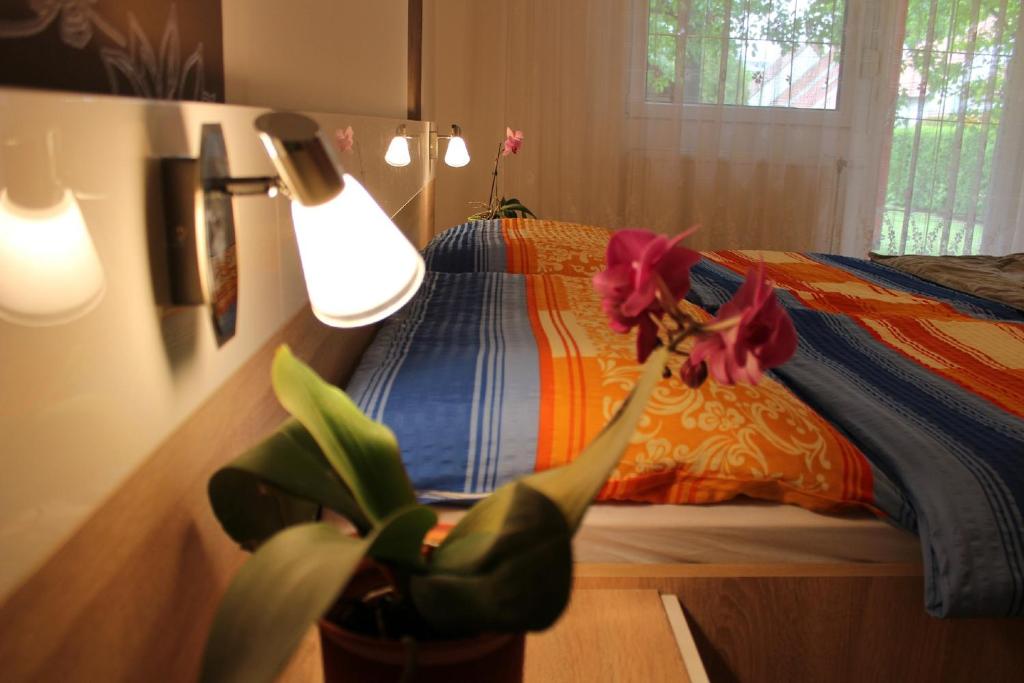 um quarto com uma cama com um candeeiro e uma planta em Anita Apartman em Bük