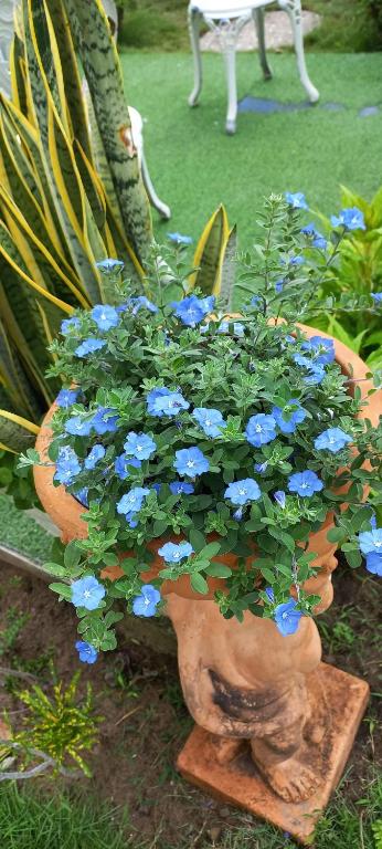 Garden House Côn Đảo - 18