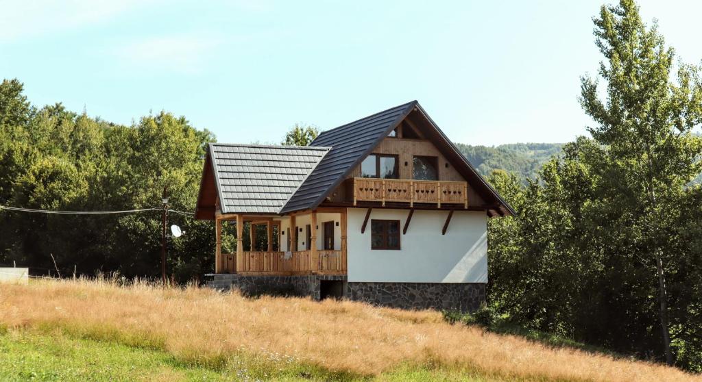 a house with a gambrel roof on a hill at La Ferma Nagy in Vişeu de Sus