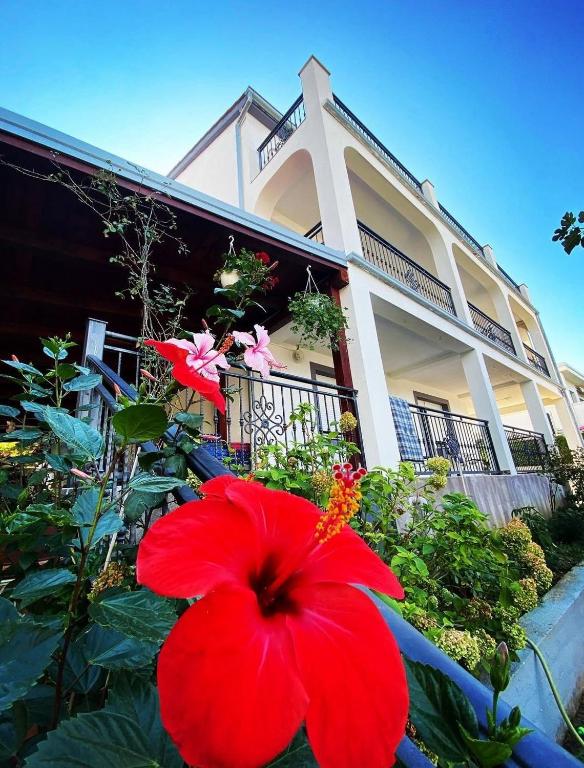 a red flower in front of a building at Villa Janja in Šilo