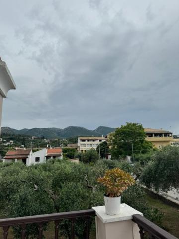 una pianta in un vaso appoggiata su un balcone di Villa Sofia ad Acharavi