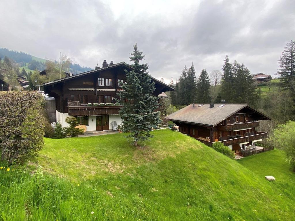 una grande casa su una collina con un prato di Amazing Villa in Gstaad a Schönried