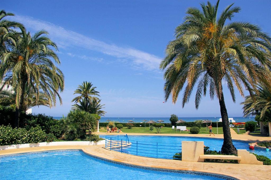 a swimming pool with palm trees and the ocean at Apartamentos Alberca - Deniasol in Denia