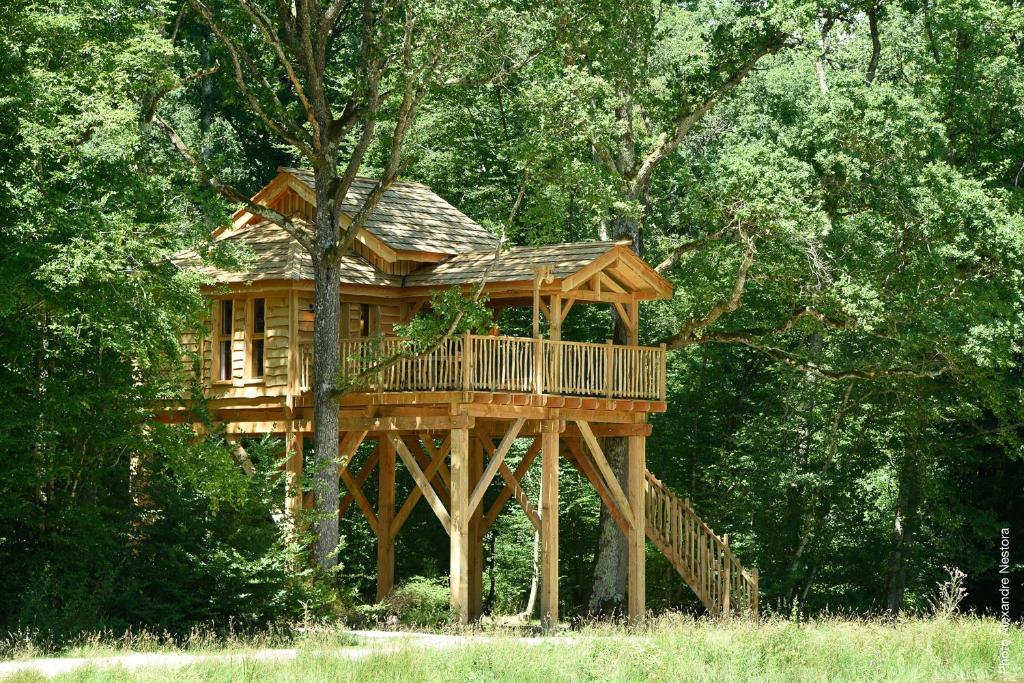 a tree house in the middle of a forest at Les Cabanes des Blots in La Bussière