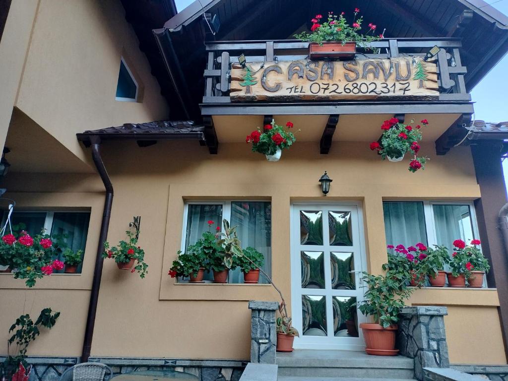 a building with potted plants and a sign on it at Casa Savu Secaria in Secăria