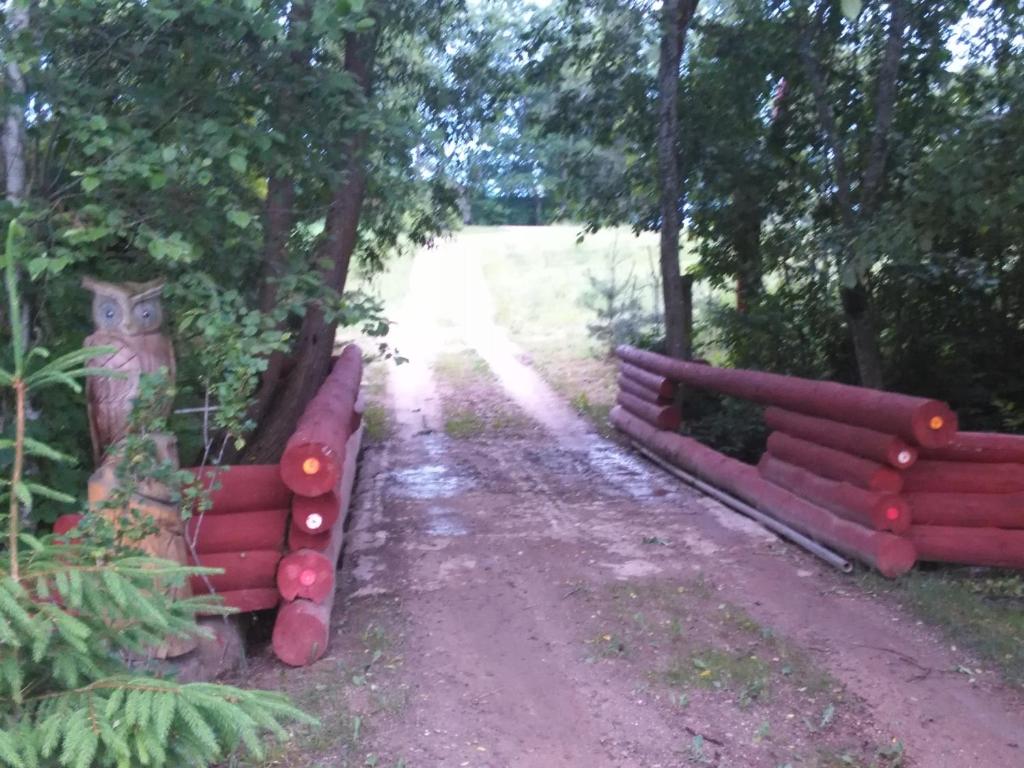 Příroda nedaleko penzionu