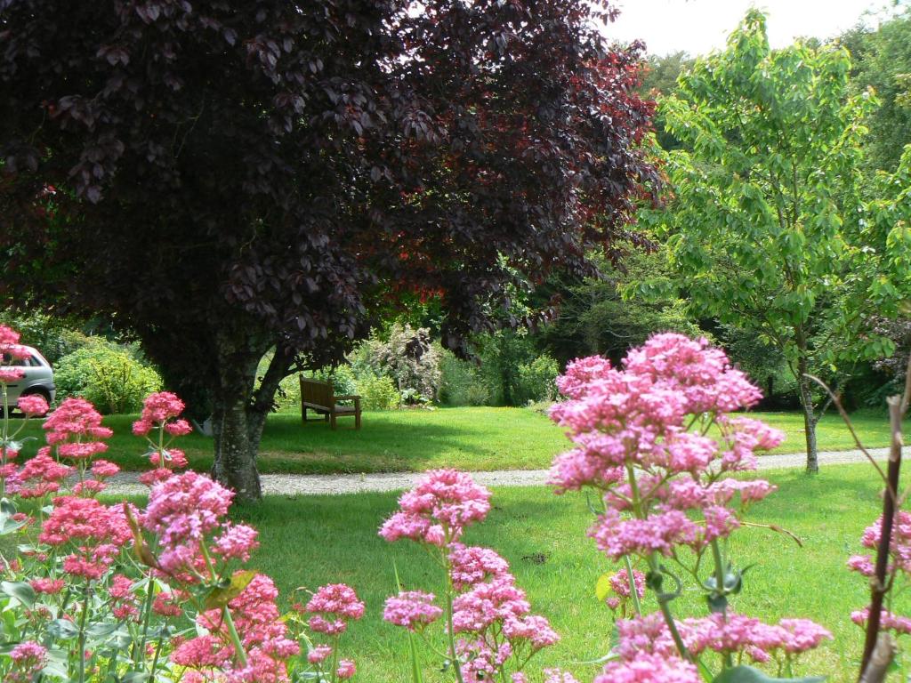 A garden outside Fermette dans les pays de la Loire