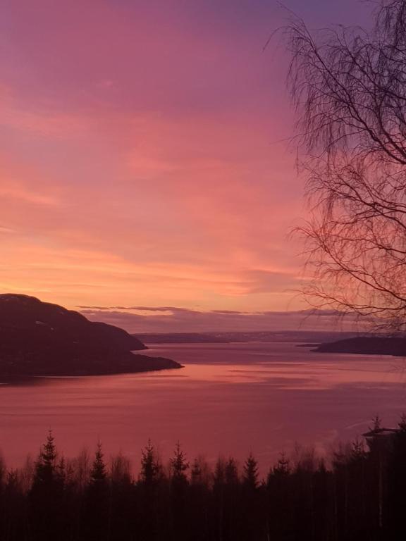 Naturlandskabet i nærheden af villaen