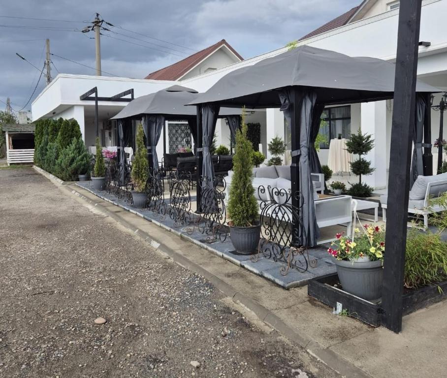 Zahrada ubytování Hanul lui PUȘCĂ - CAZARE MUNCITORI
