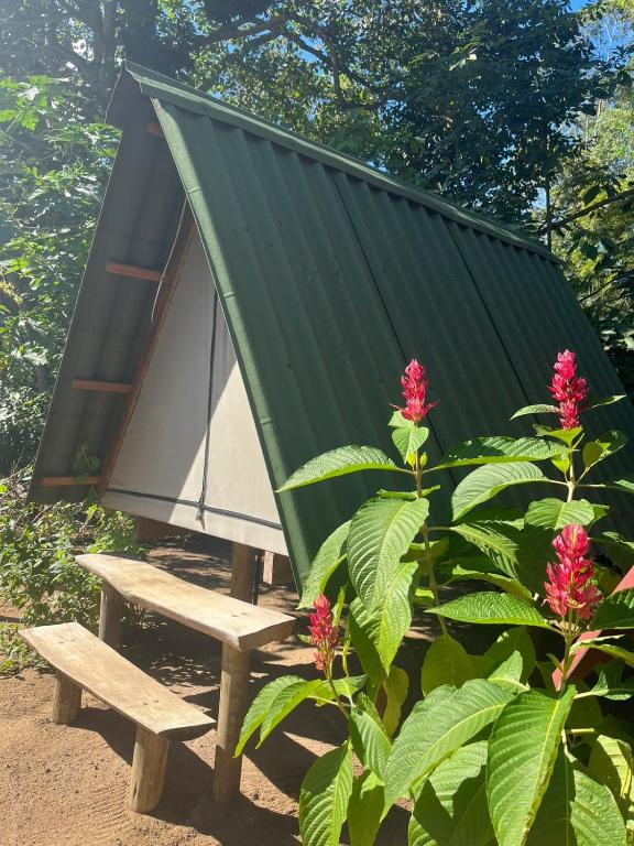 a picnic table and a roofed shelter with pink flowers at Cabana 1 camping Dona Aurora Praia do Sono in Paraty