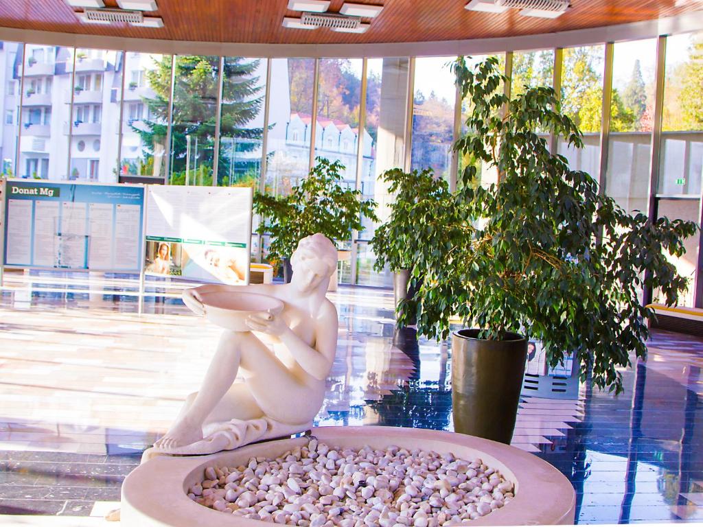 Κήπος έξω από το Apartment Baba Yaga 12