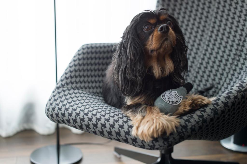 South Place Hotel - Resim 42