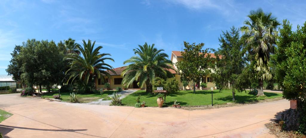 a house with palm trees in front of a driveway at Agriturismo La Fata in Alberese