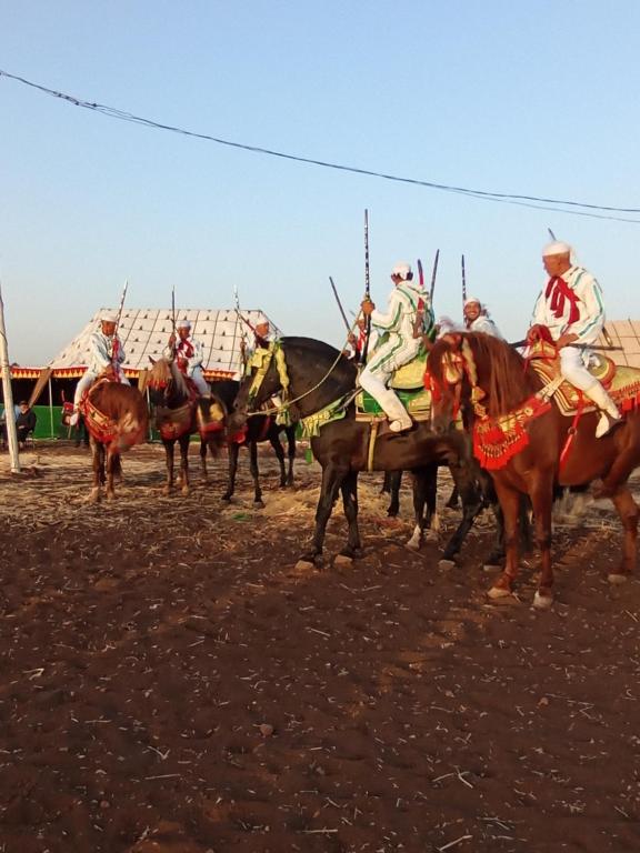 Zvířata v luxury tent nebo okolí