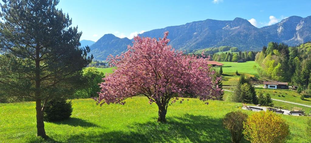 Hotel Heißenhof - 14