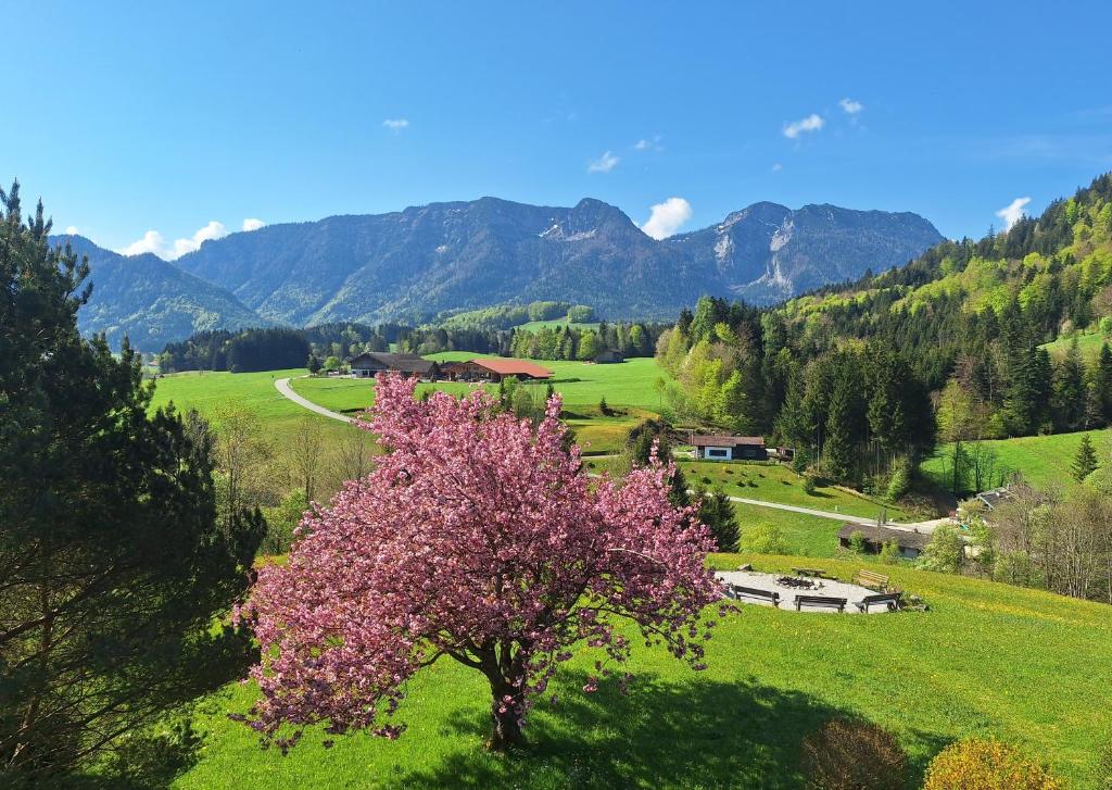 Hotel Heißenhof - 15