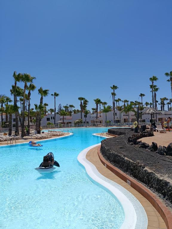 a dog in a paddle board in the water at a resort at Oasis Duna - Casa Mariposa in Corralejo