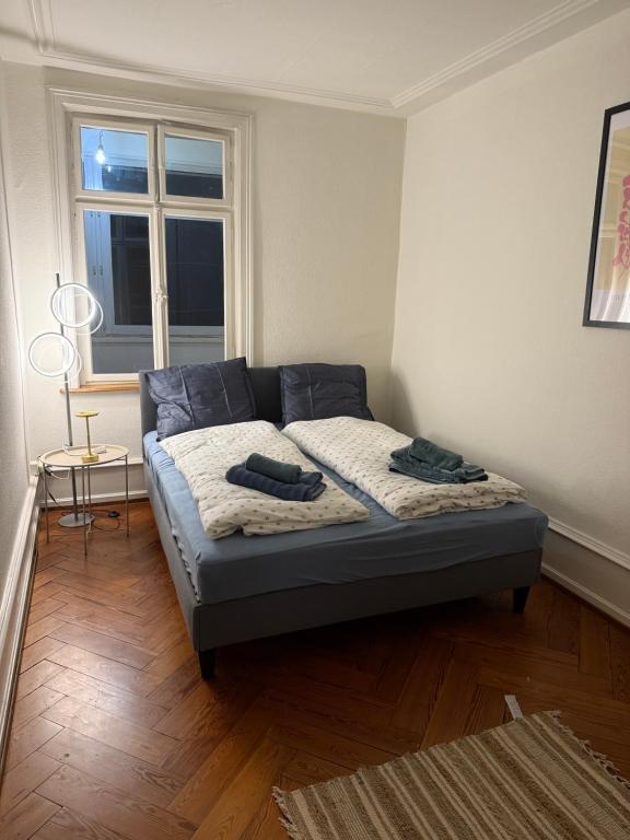 Chill and Tranquil in St Johann near Novartis Campus - Resim 10