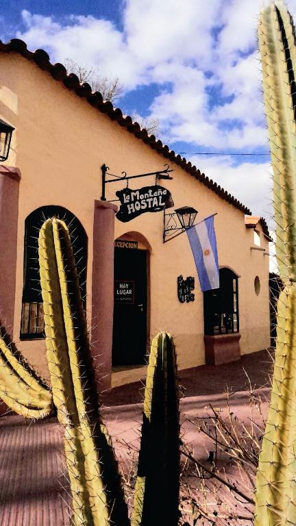 a building with a cactus in front of a store at La Montaña B&B in Cafayate