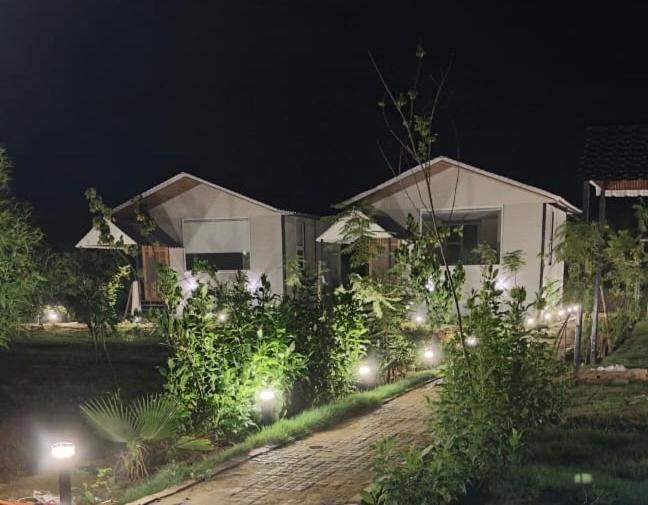 a house with lights in the yard at night at Rocopie Farm in Rohtak