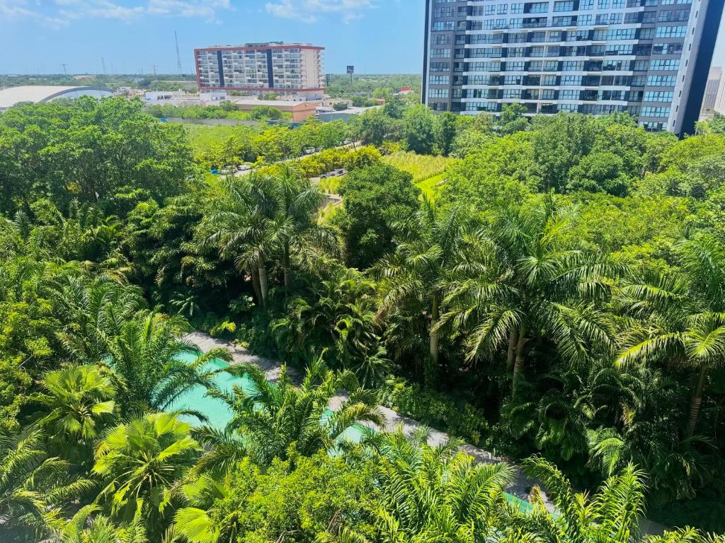 a view of a jungle with palm trees and a tall building at Vía Montejo, Mérida Yucatán in Mérida