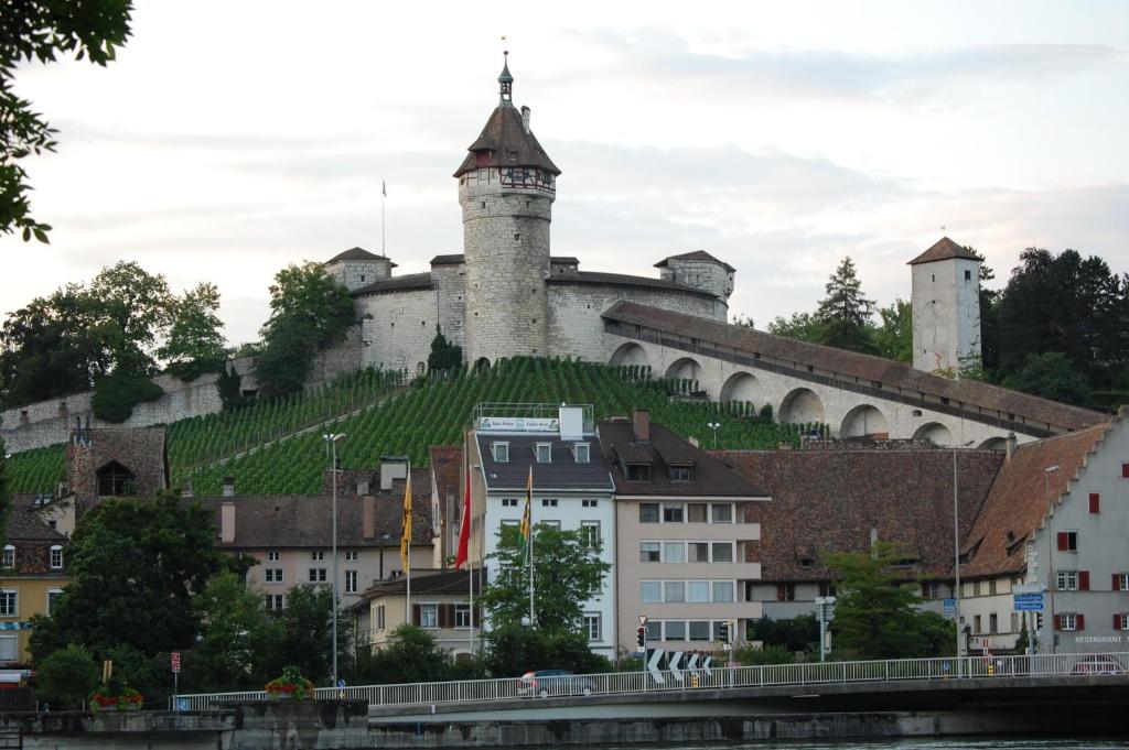 Un castello con un grappolo d'uva sulla collina di Back-Packer Federnhut a Schaffhausen