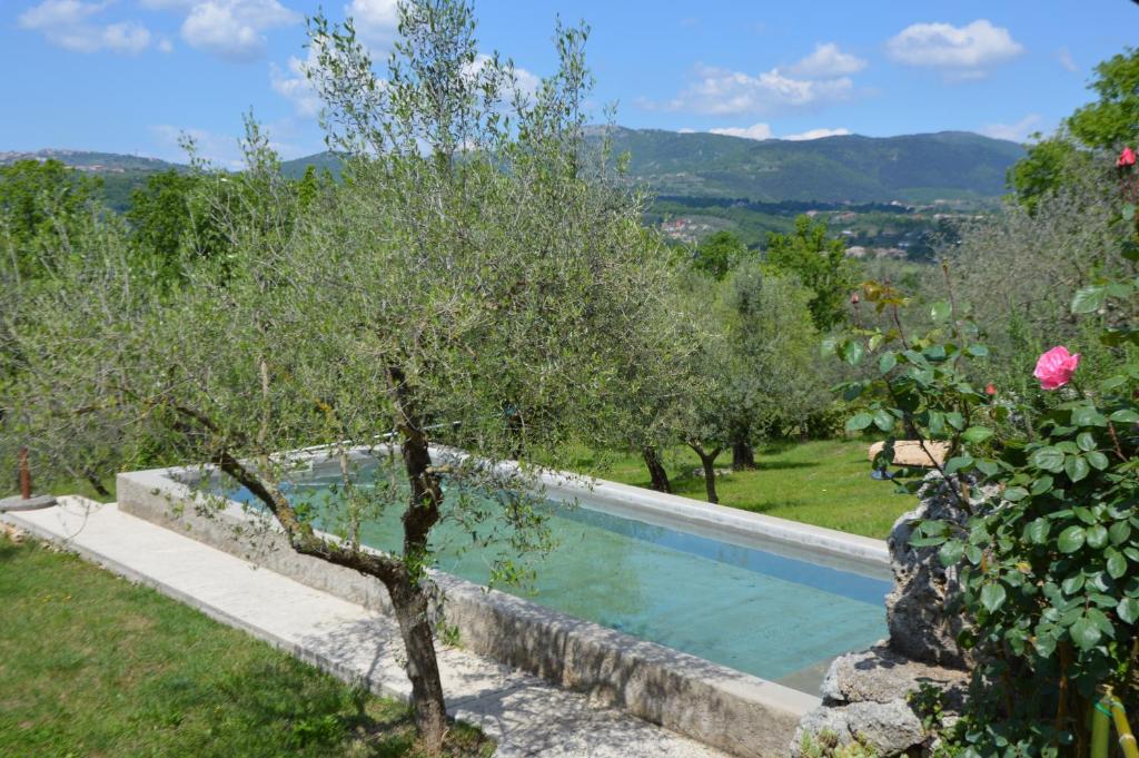 una piscina en un huerto de manzanos con un manzano en L'Ulivo, en Veroli