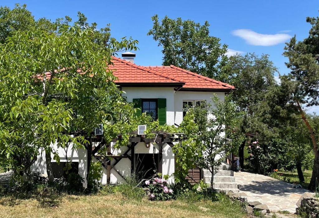 En have udenfor Villa Suhodol