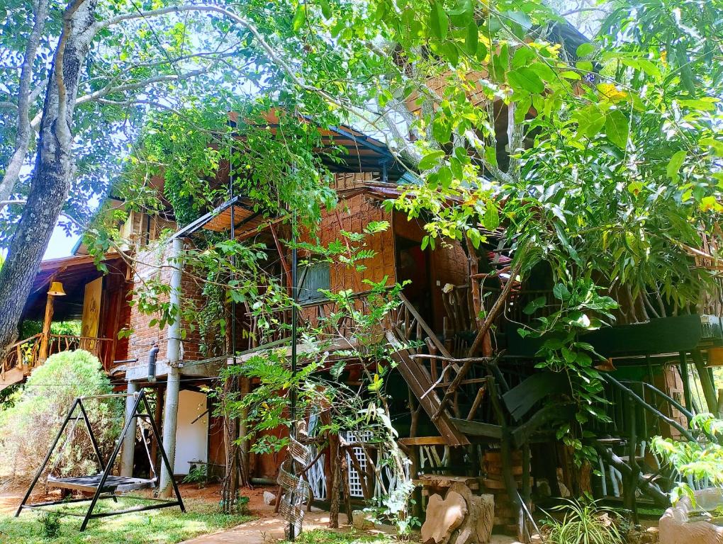 Κήπος έξω από το Nera Nature House