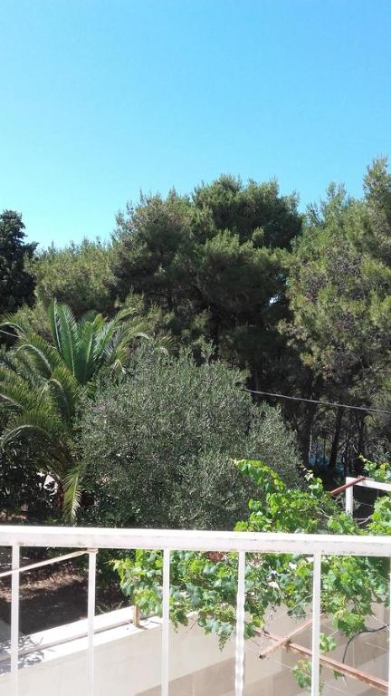 A garden outside Villa Mateja