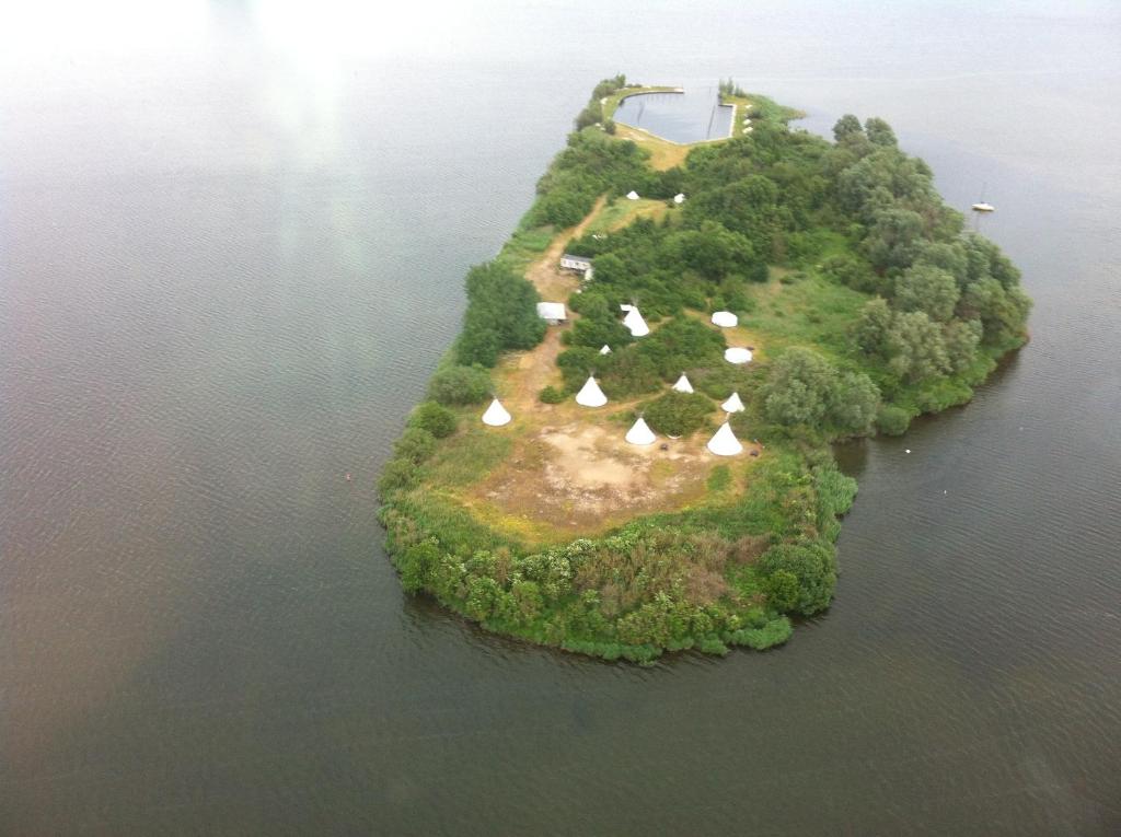 an island in the water with a group of animals on it at CampSpirit in Biddinghuizen
