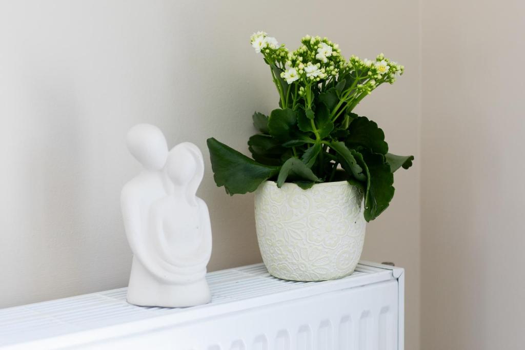 ISLAND Time Deluxe Apartment Downtown 3 floors - 18