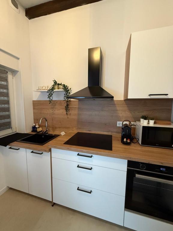 ブールジュにあるSéjour a Bourges avec Parkingのシンクと電子レンジ付きのキッチン