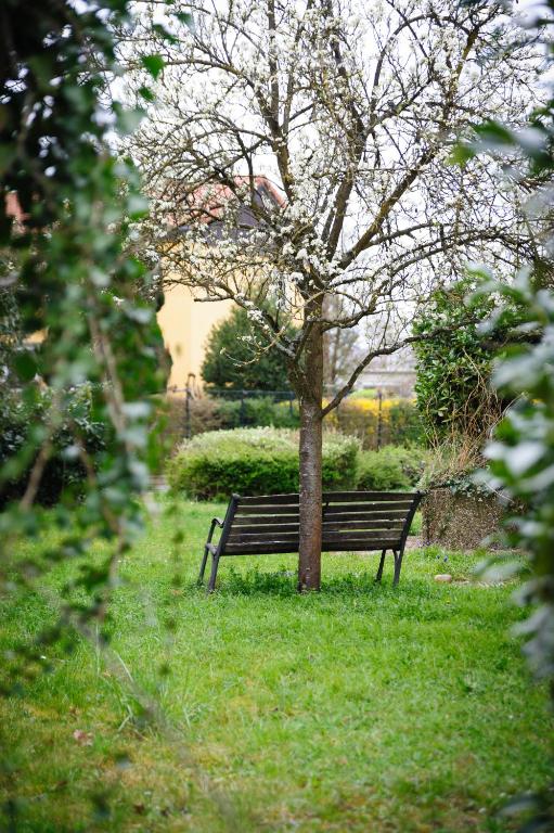 eine Parkbank neben einem Baum im Gras in der Unterkunft MHosting in Kehl am Rhein