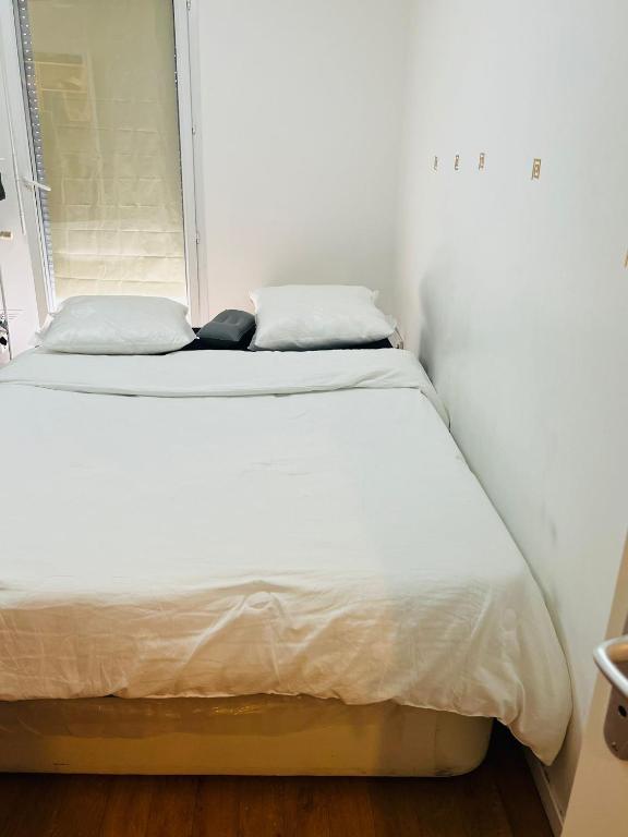 Chambre pinsel