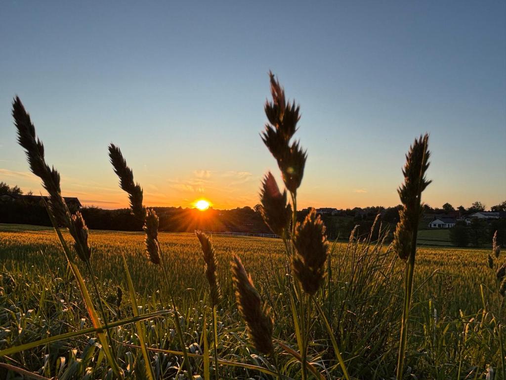 Východ nebo západ slunce při pohledu z vily nebo okolí