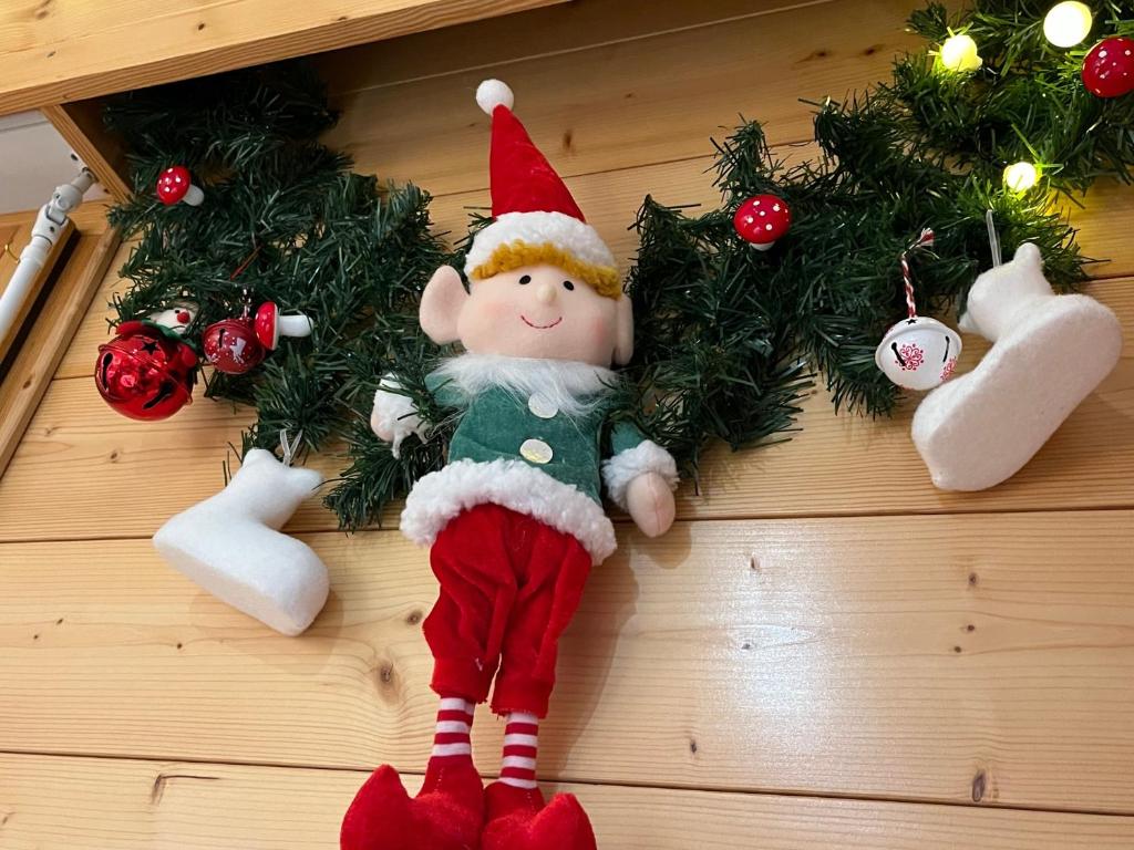 PETIT LUTIN à 250 m du bord du lac de Gérardmer
