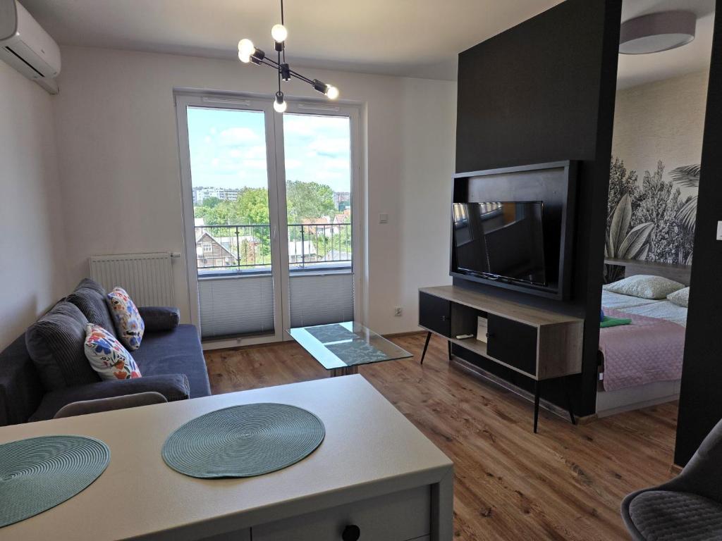 Μια τηλεόραση ή/και κέντρο ψυχαγωγίας στο Urban Jungle Apartament Mars