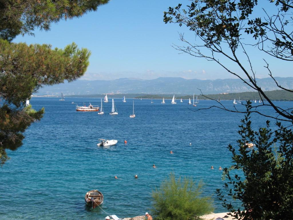 a large body of water with boats in it at Villa Maslina in Vantačići