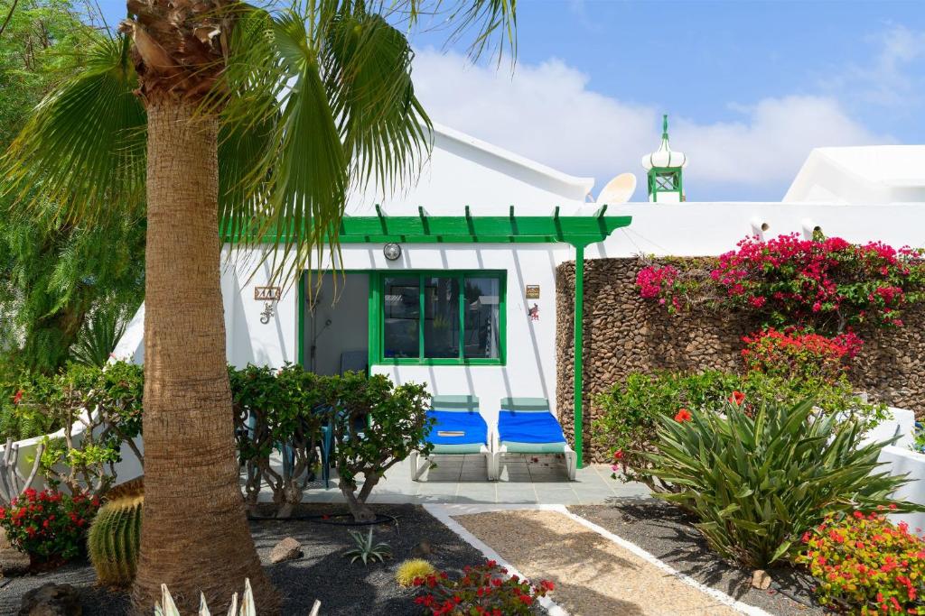 a palm tree and two blue chairs in front of a house at Casa Steve in Playa Blanca