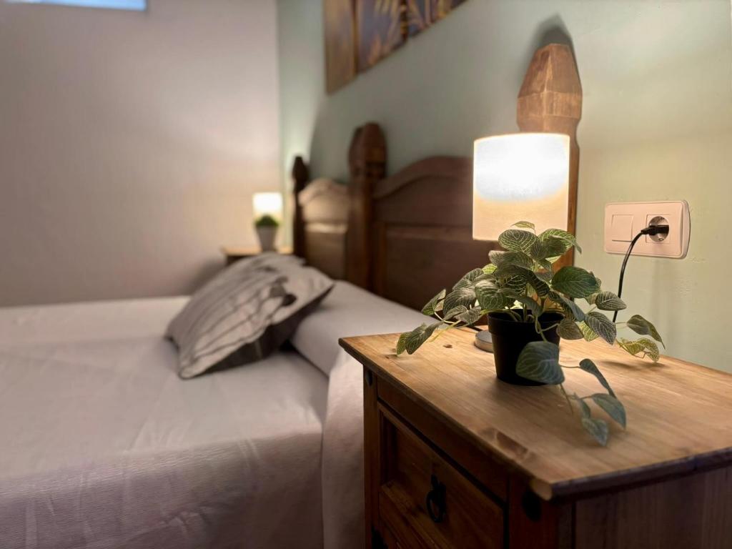 Hostal El Rincon de la Vera - 5