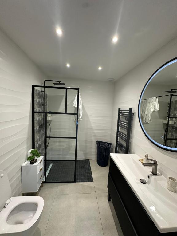 ein Badezimmer mit Toilette, Waschbecken und Spiegel in der Unterkunft Villa in Sainte-Eulalie