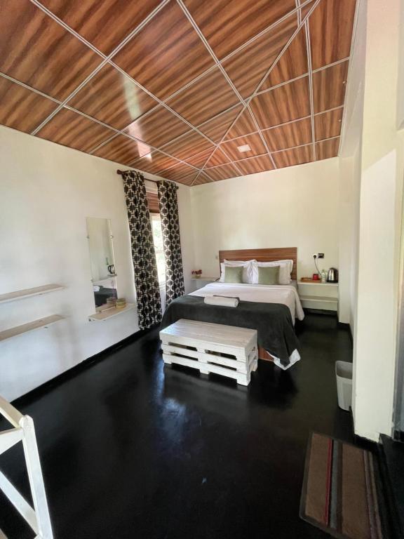 Mountain vibe ella - 4