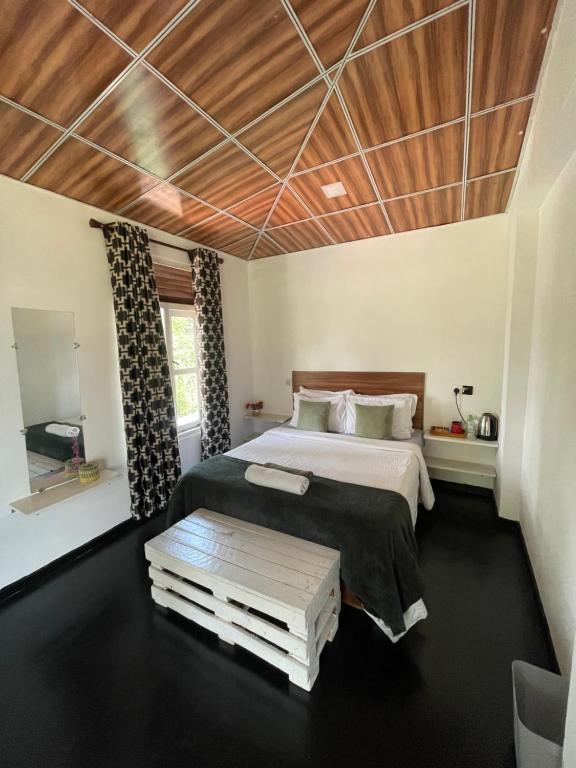 Mountain vibe ella - 2