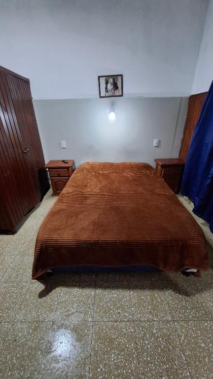 a bedroom with a large bed with a brown blanket at Hospedaje Artigas in Corrientes