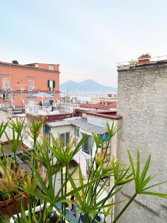 Vecchia Napoli Vesuvio