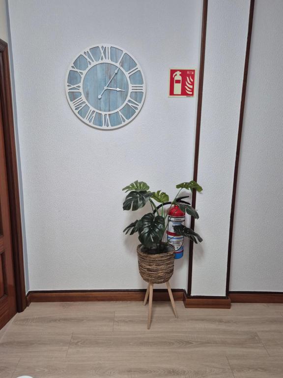 a clock on a wall with a potted plant at Apto San Francisco,en el centro y en la playa in Castro-Urdiales