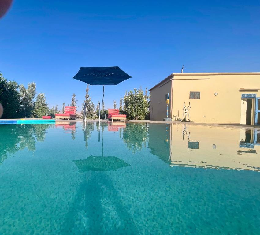 an umbrella sitting in the middle of a pool of water at Agafay Olivium 